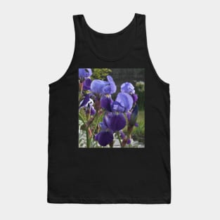 Belles - Irises Tank Top